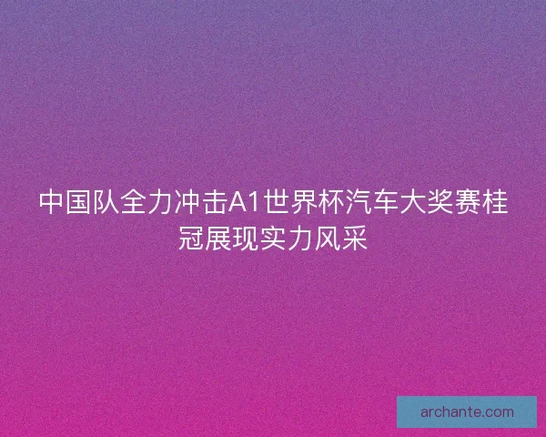 中国队全力冲击A1世界杯汽车大奖赛桂冠展现实力风采