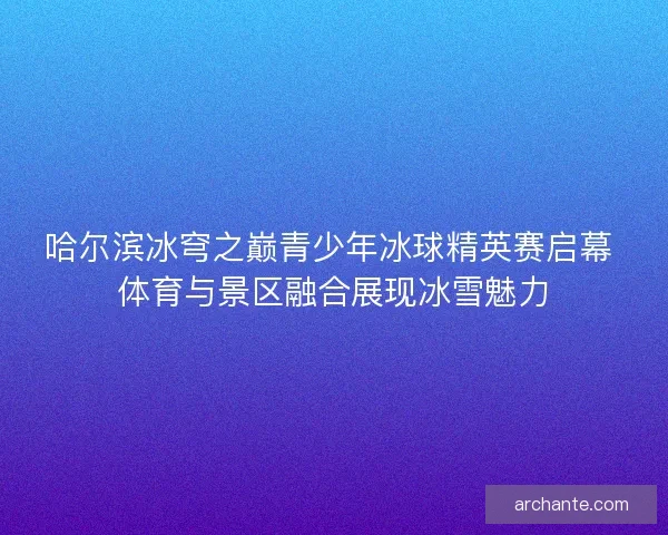 哈尔滨冰穹之巅青少年冰球精英赛启幕 体育与景区融合展现冰雪魅力