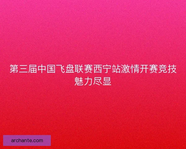 第三届中国飞盘联赛西宁站激情开赛竞技魅力尽显